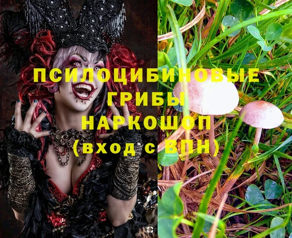 бутират Арсеньев